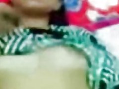 Maleis-rondborstige verlegen-verlegen kat